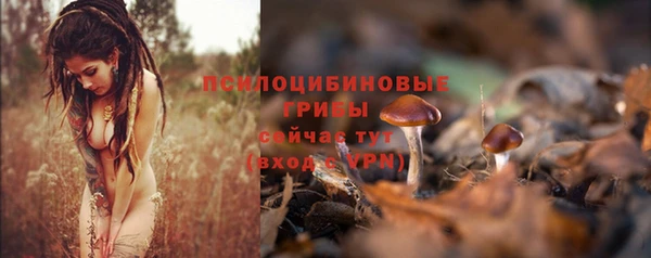 дурь Алзамай