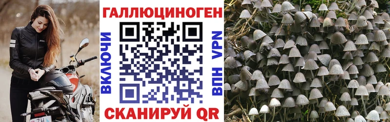 Псилоцибиновые грибы ЛСД  Павловская 